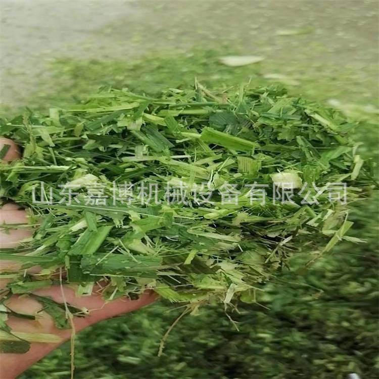 养鸵鸟孔雀用铡草揉丝机 干湿两用牛羊养殖碎草机秸秆稻草粉碎机,玩具/童车/益智/积木/模型,垂直悬浮玩具,淘宝优惠券,粉丝福利购,淘宝优惠卷