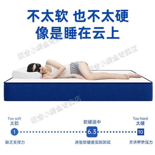 销厂家直盒颐舍蓝色记忆棉乳胶榻榻米弹簧床垫席359梦思垫真子空