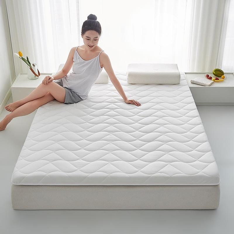 205生新款大2豆纤LUH维A类毛床垫单人学宿舍垫子家磨用床垫床上用