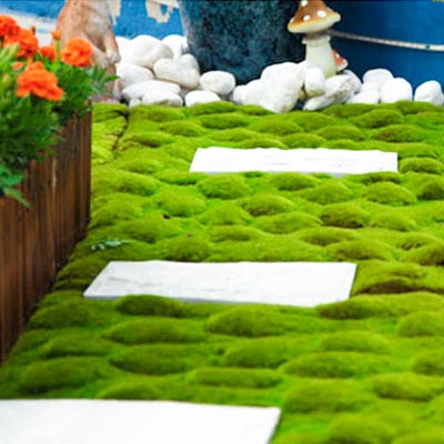 青苔 苔藓假植物墙底料仿真苔藓墙绿化装饰墙体艺术青苔仿真草坪