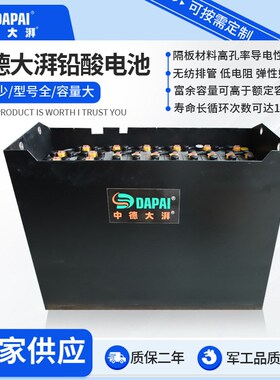 中德大湃电动牵引车2vD-250/D300/440铅酸蓄电池轨道车平板车电池