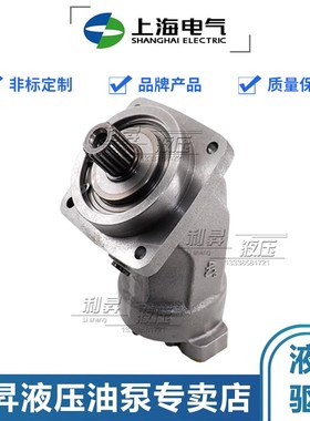上海电气斜轴柱塞马达泵A2FE56/63/80/90/107/125W6.1VZL10PT2017