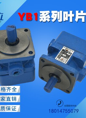 叶片泵YB1-10 YB1-6 4 2.5 16 12  20 25 32 40 63 80 100 50