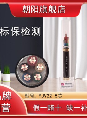 YJV22 5*2.5 4 6 10 16 25 35 50 70 95 120 150 185 240铠装电缆