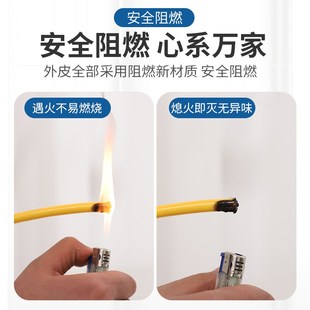 新能源汽车充电延长线2芯2.5 4平方大功率16A插头插座家用插线板