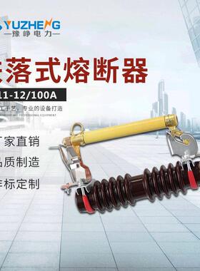 厂家供应10KV跌落保险PRWG1 高压跌落式熔断器 高压跌落保险