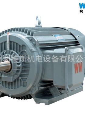 现货皖南电机WNN销售-280M-4高效率电机4级转速90KWB3卧式