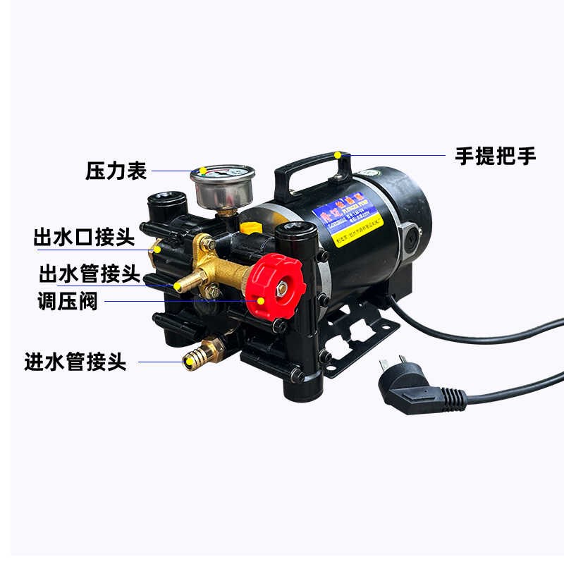 隆迈手提式打药机农用电动果树喷雾器v0v2v220伏缸柱塞泵