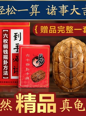 天然精品真乌金龟壳真龟甲文玩六爻铜钱易经64卦摇卦手把件