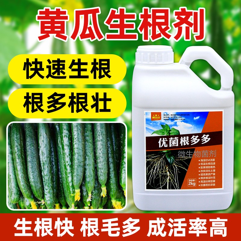 黄瓜生根剂生根壮苗剂黄瓜苗快速发根壮根专用灌根营养液水溶肥料