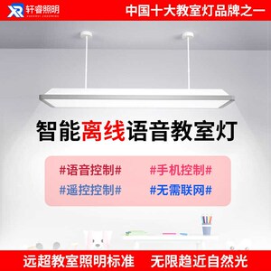 新国标儿童学习护眼灯全光谱智能离线语音教室灯防近视落地大路灯