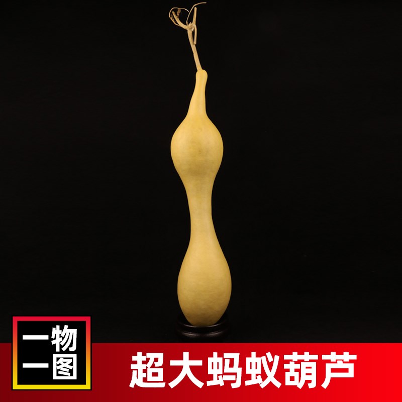 天然大葫芦蚂蚁肚异型摆件烙画文玩天津嘴八宝三庭手捻把件工艺品