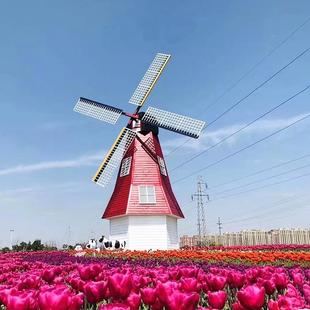 电动荷兰旋处转风车车大型荷兰观景户外实木风装 饰品售楼yk0324