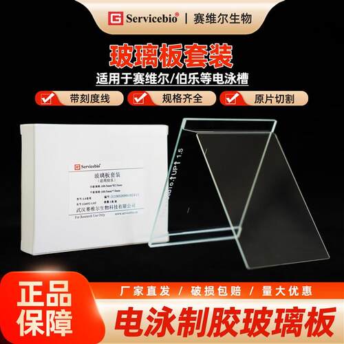 赛维尔 WB电泳玻璃 伯乐电泳玻璃  凹板平板 厚板 薄板 短板