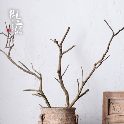 干树枝装饰天然植物干花带皮枯枝树干客厅商场摆件橘子树造型树杈