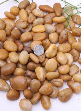 黄色卵石厂家园艺造景鹅黄色抛光雨花石头路造景铺VOF亮光石子