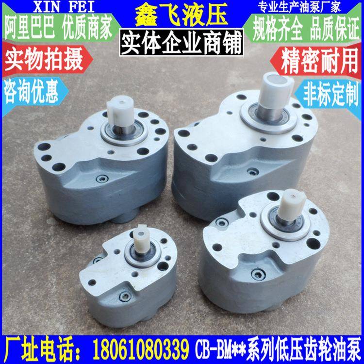 CB-BM2.B4BMM6BM10-35BM16BM20BM2齿5BM32YDV川润稀油轮油泵