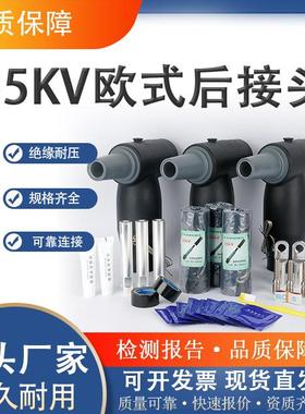 插3K欧式拔头避雷器T型肘型前V后接58079头6530A高压分接箱环网柜