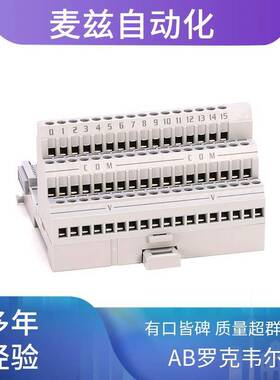 AB 罗克韦尔 1794-OB8 管理型交换机 1790-7CMCBL