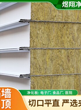 机制岩棉板保温板彩钢板无尘车间净化板复合洁净板50mm夹芯板隔墙