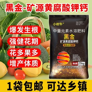 小欢牛黑金矿源黄腐酸钾钙水溶肥生根膨果调理土壤果树蔬菜冲施肥