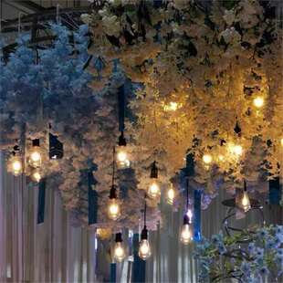 220v高压大灯泡LED灯串室外气氛串灯 户外露营灯防水灯串婚礼装饰