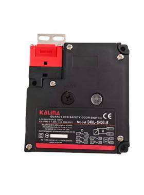 电磁锁安全开关DNL-1AFAA-B2AFG4CF4DFAE4FG门THI1DFA-BS