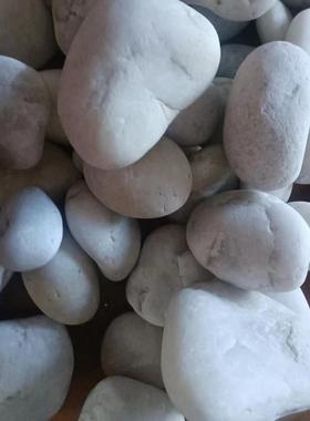 白鹅卵石大号白色造铺路景鹅卵石水池园色林美饰化装白石WUZ子厂