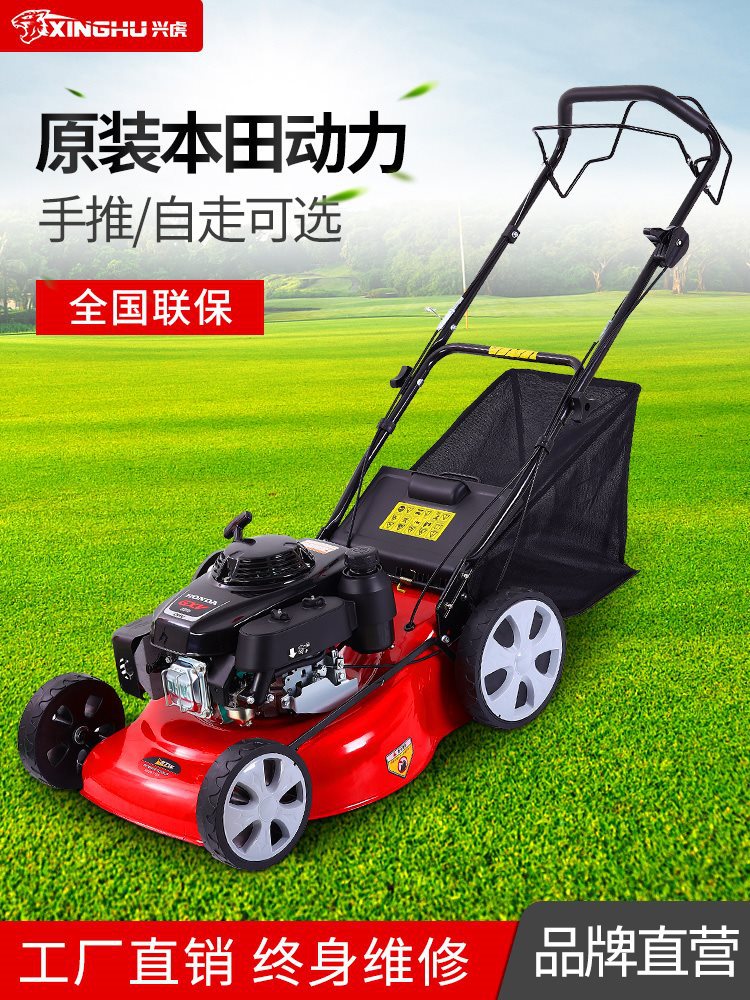 动力四冲汽油手推自走割草机