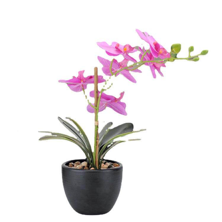 仿真富贵竹假花家居客装饰植物贵假富竹室子QKD1763-可护眼内绿厅