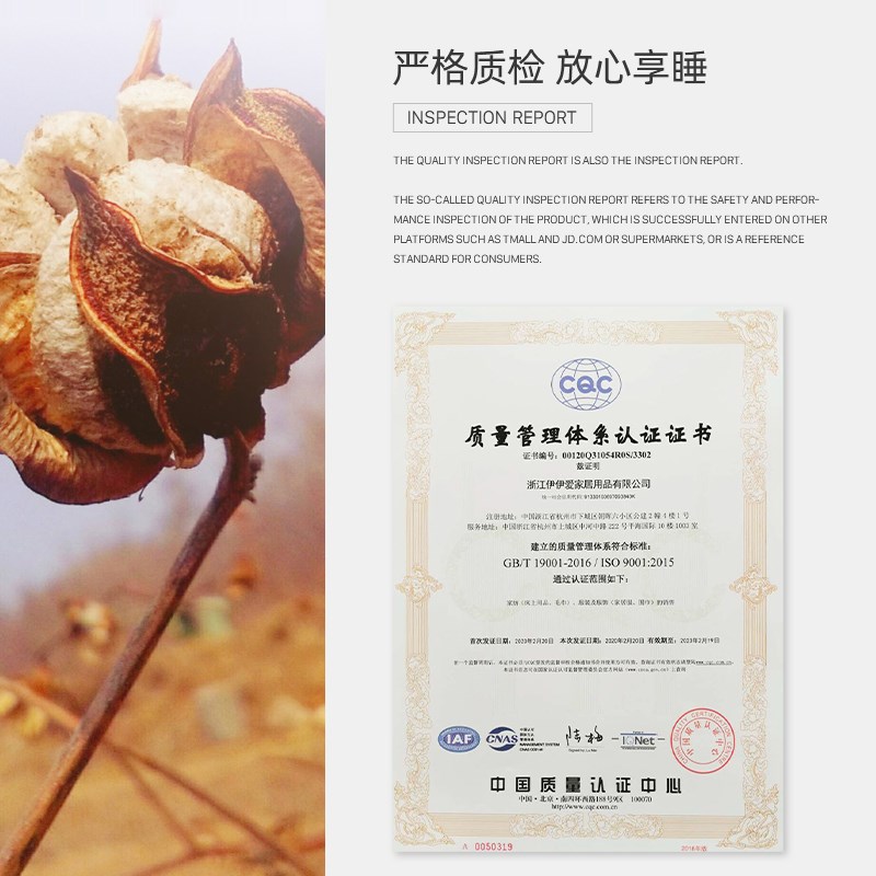 伊伊爱 卡通记忆棉护腰靠垫/ZX0YZ022002/38*30*10厘米