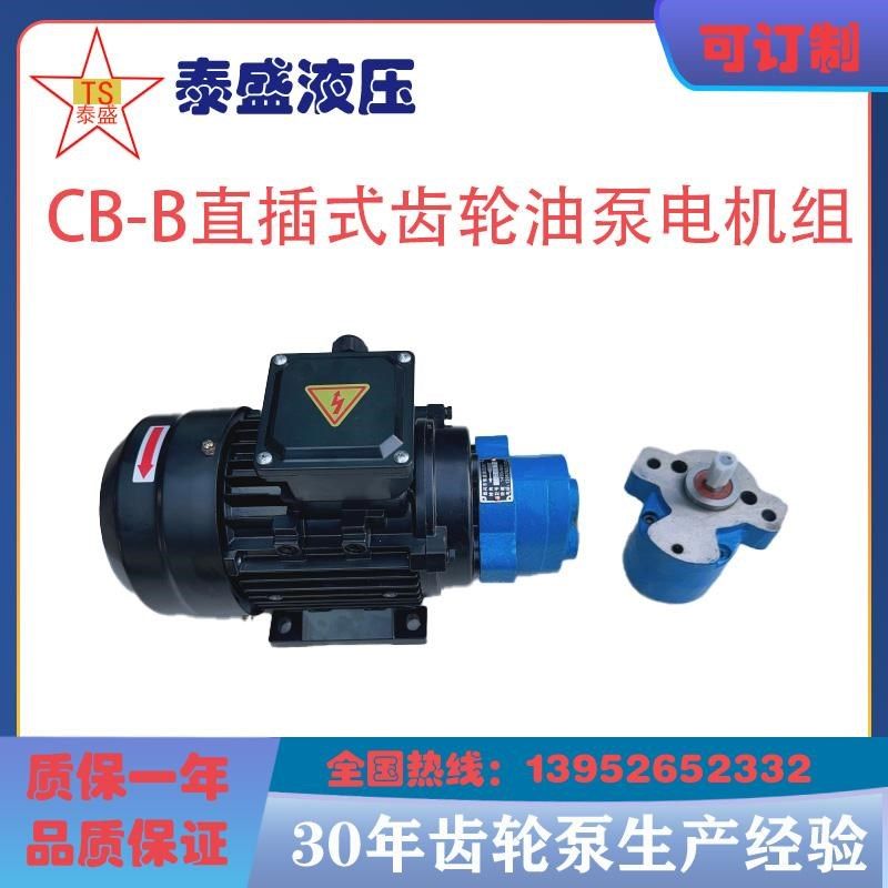 CB-B6/B4/CB-B10R锯床齿轮油泵电机组CBW-B2.5JZ 0.37/0.55KW润滑