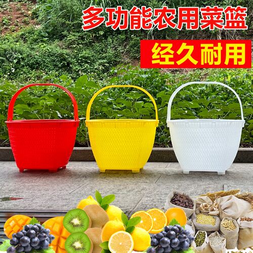 塑料提篮捡菌水果送饭野餐提篮家用购物篮饮料提篮买菜篮采摘篮子