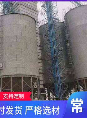20吨装配式钢板锥仓粮生产厂家平底0底仓粮食储罐农用大MFD容量