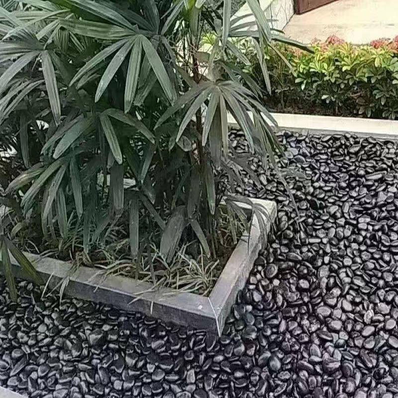 花抛光鹅卵石精品雨然石五彩石园艺493黑白黄天红石子原产地