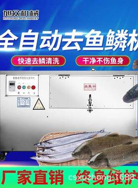 型XZ-550旭众除去鱼鳞机全自动刮鱼鳞机机商用小脱鱼鳞机电动鱼鳞