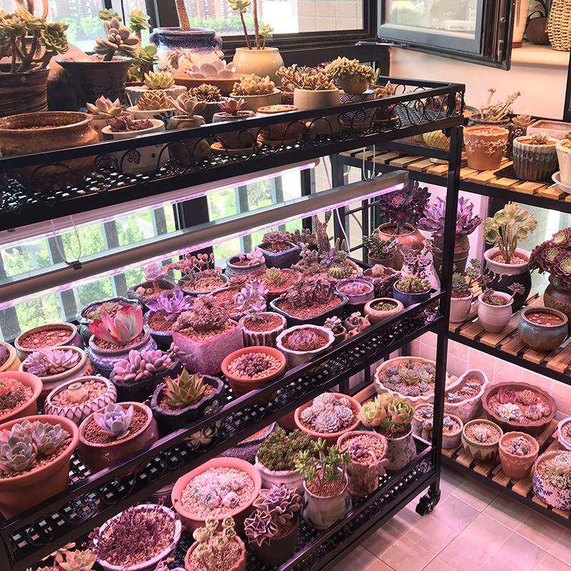 多肉花轮架置物架台子阳台多层室飘内窗FPM落地带可移动植物挂