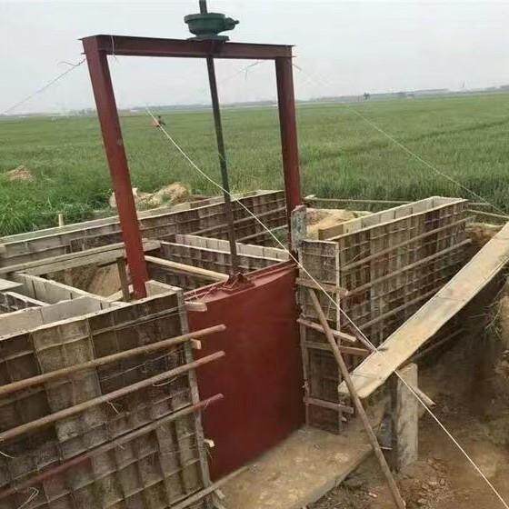 铸门铁闸镶铜平面双拱形弧形方形QIF圆形单向水向止河道水库水电