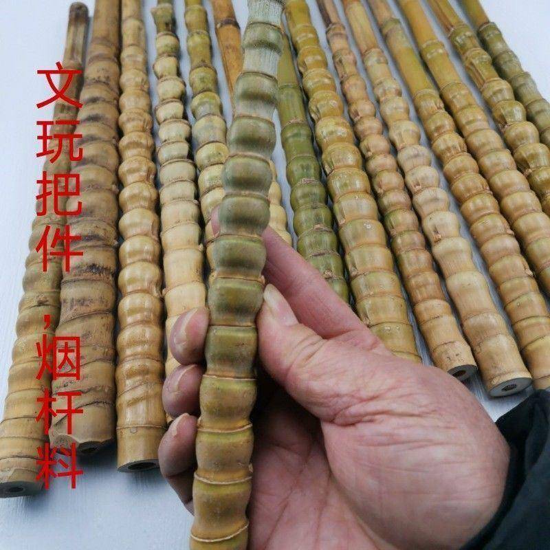 罗汉竹毛料烟285杆料龟甲件竹罗汉文竹玩把件竹抄网把密节老手料