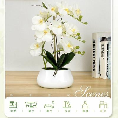 手感假蝴蝶兰盆栽带花盆客摆厅CMK插花花餐桌设过年花件摆明之