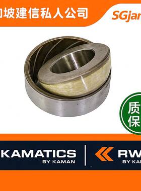 德国RWG1轴承2NSA803/SA81PFS1316213N252933374749轴承