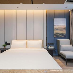 酒家店具亚朵酒店全套公寓民间宿专用床茶沙发786几标家具