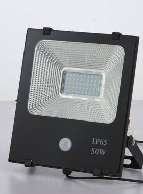 gsola光LihtLED太阳能人体感r应投灯PIR50W100W庭LO-NSF3院灯人体