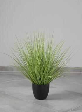 小草栽纯草烛盆H16073V蒲草芦苇水盆场商橱窗装饰假花