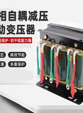 三相干式自耦变压器O-10K15K20K30KW40KVA50千瓦380V变220V200V