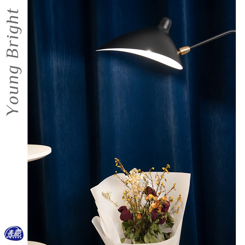 法式SergeMouille设计师摇臂侘寂风壁灯张牙舞爪客厅餐厅卧室灯具