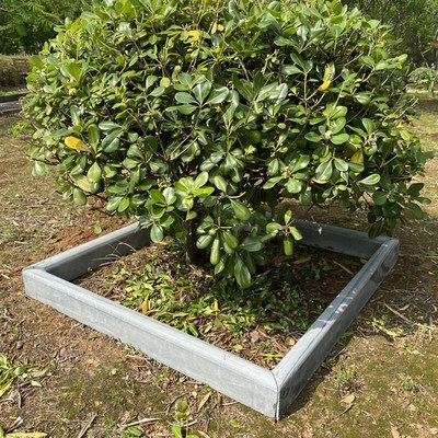 青石板路沿石花园围边石路牙石庭院路肩条花坛菜园挡泥侧边石围树