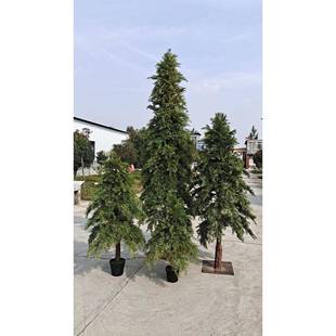 仿真植物柏树绿植盆栽白树圣诞树园林工程装饰塔型松柏树厂家