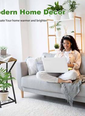 支室高档植物架客厅角落金属内植物架铁艺现代FGU花盆架多层架子