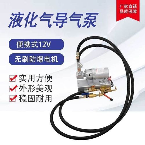 12v导气泵12伏充气泵丙烷泵车载倒气泵导气泵加气泵